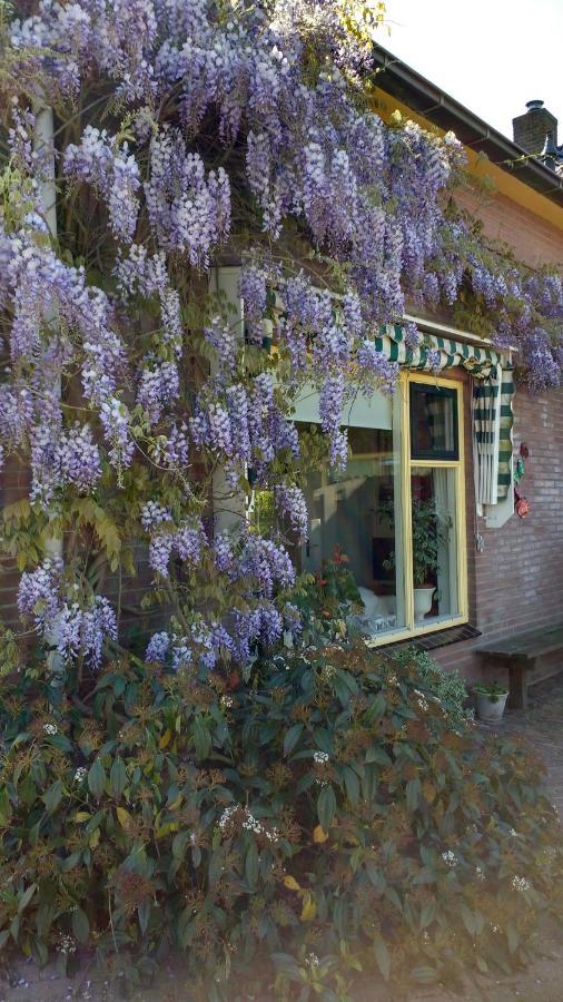 B&B De Vlinder ハルデンベルグ エクステリア 写真