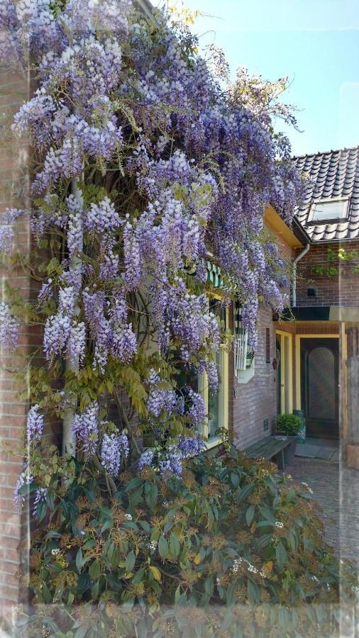 B&B De Vlinder ハルデンベルグ エクステリア 写真
